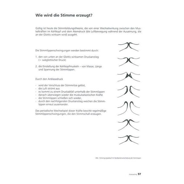 Voggenreiter Voicecoaching