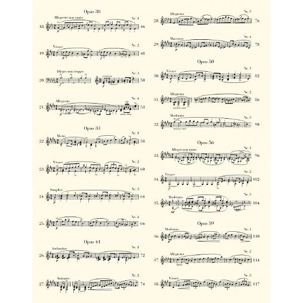 Henle Verlag Chopin Mazurken