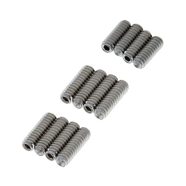 Fender Vintage Bridge Screws