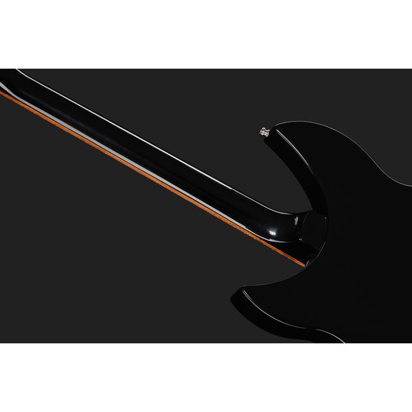 Rickenbacker 330/12 JG