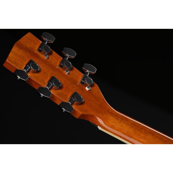 Harley Benton D-120NT