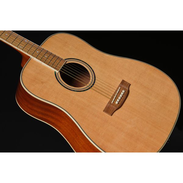 Harley Benton D-120NT