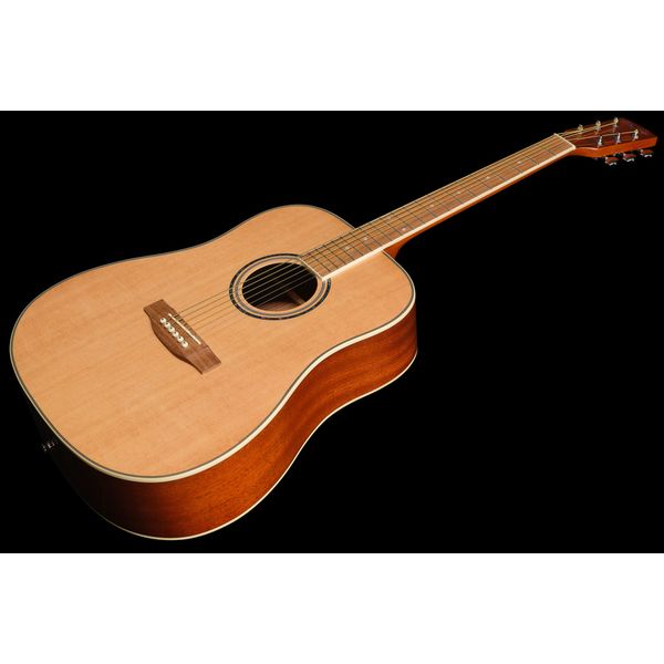 Harley Benton D-120NT