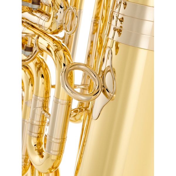 B&S 3100/W-L (PT-12) F-Tuba