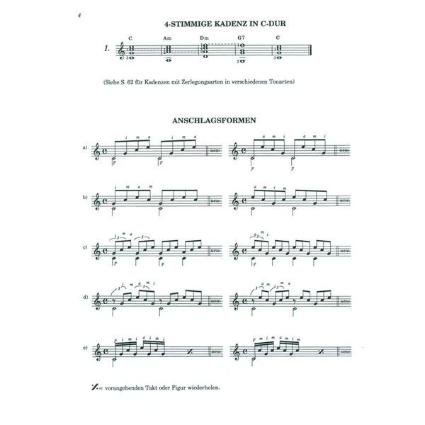 Alsbach Educa Gitarrenstarter 2