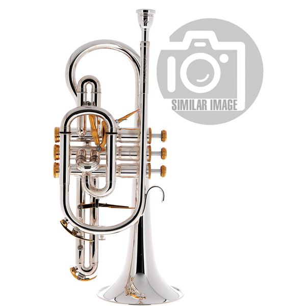 Besson BE2028-2 Prestige Bb-Cornet