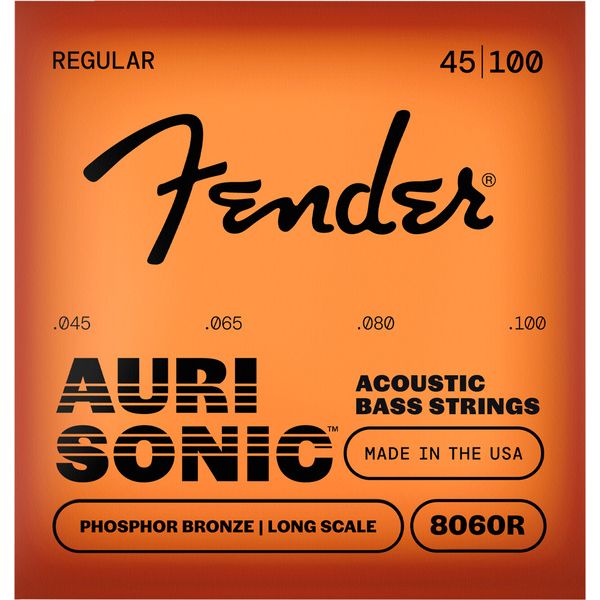 Fender 8060 Acoustic Bass