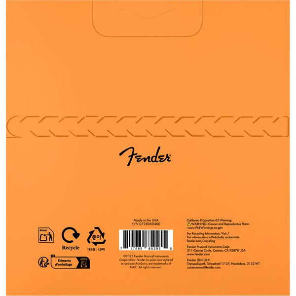 Fender 8060 Acoustic Bass