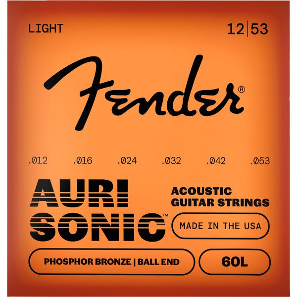 Fender 60L