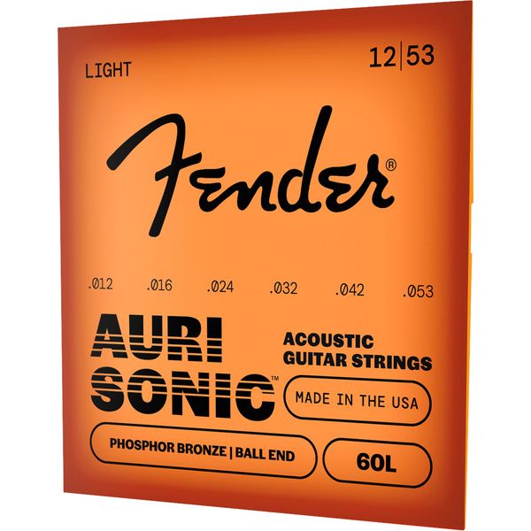 Fender 60L