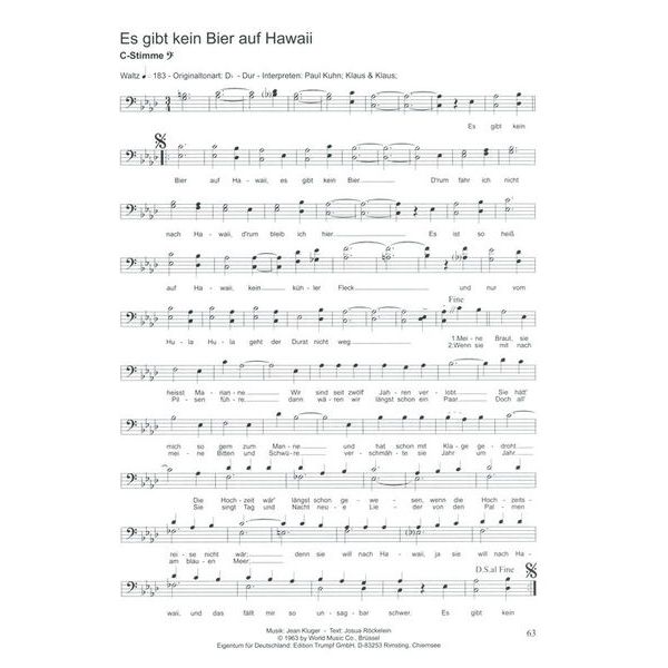 Musikverlag Hildner 100 Hits für C-Instrumente