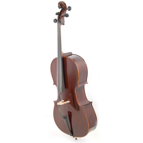 Alfred Stingl by Höfner AS260 C3/4 Celloset