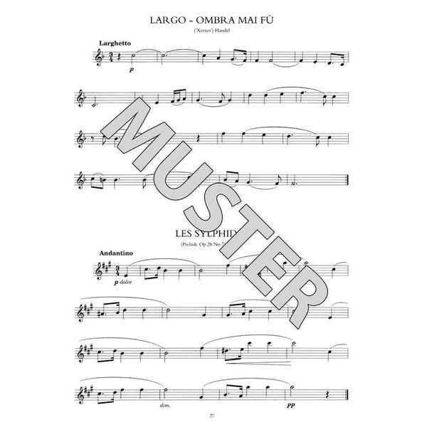 Music Sales 100 Classical Themes Flute