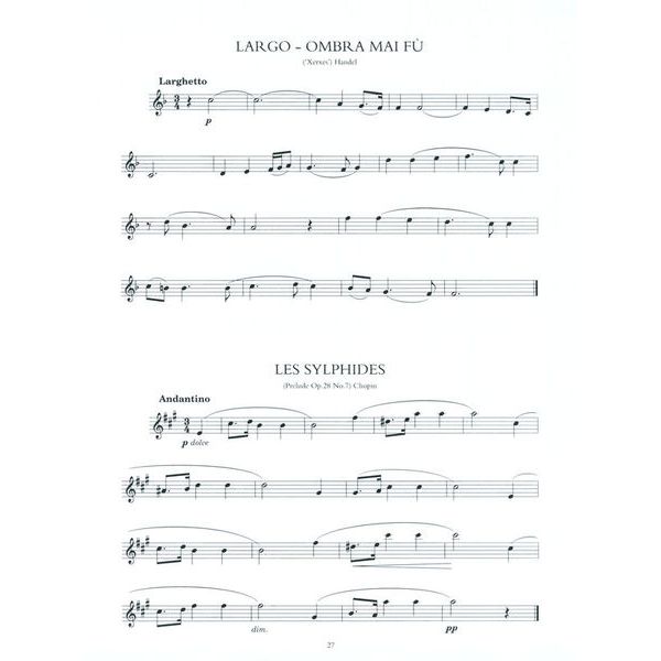 Music Sales 100 Classical Themes Flute