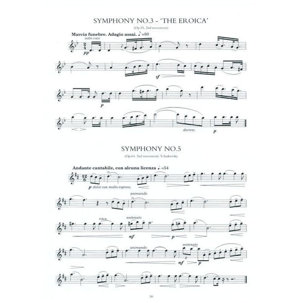 Music Sales 100 Classical Themes Flute