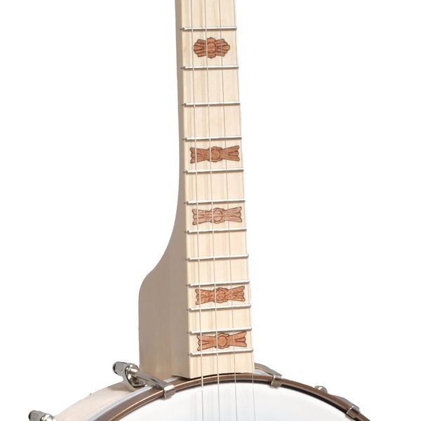 Deering Goodtime 17-Fret Tenor