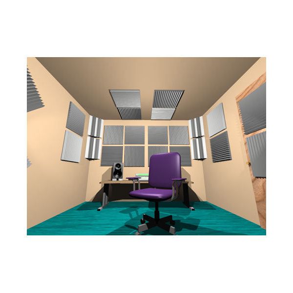 Auralex Acoustics Roominators Project 2