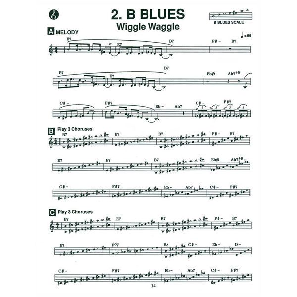 Jamey Aebersold Blues in All Keys