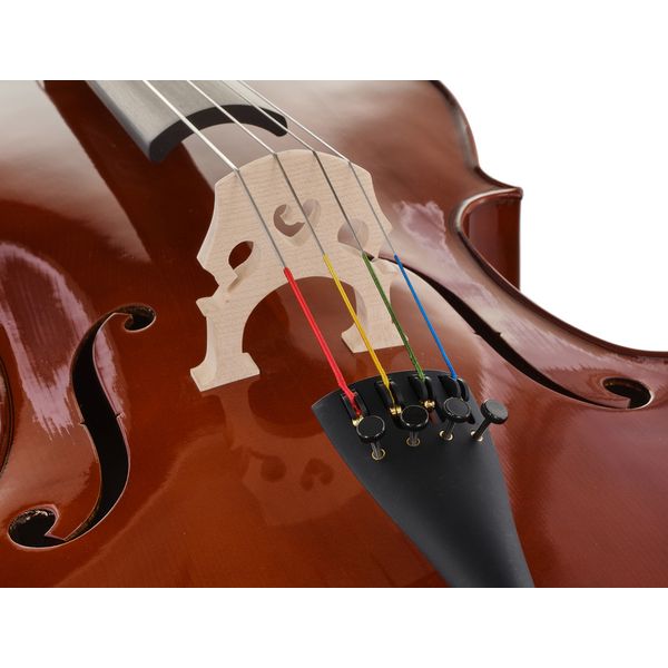Roth & Junius RJC Cello Set 4/4