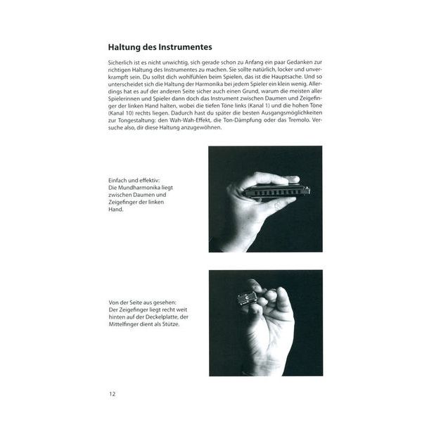 Voggenreiter Blues Harp Basics