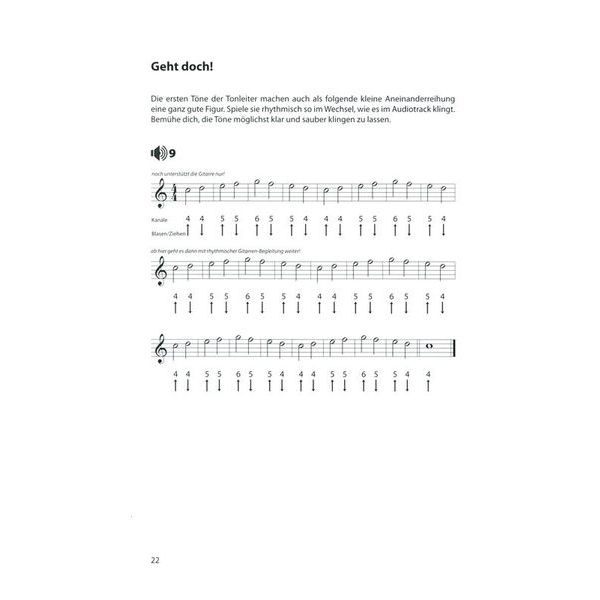 Voggenreiter Blues Harp Basics