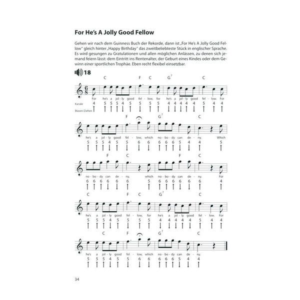 Voggenreiter Blues Harp Basics