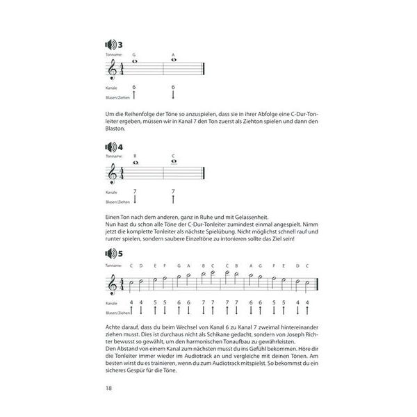 Voggenreiter Blues Harp Basics