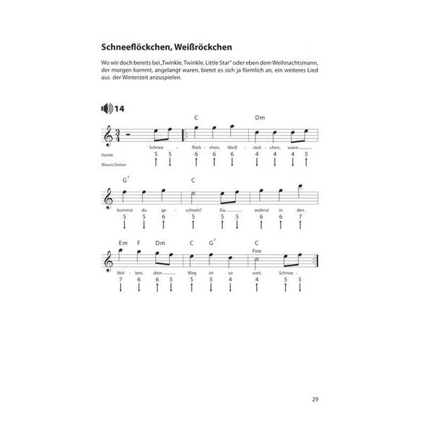 Voggenreiter Blues Harp Basics