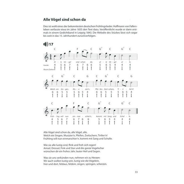 Voggenreiter Blues Harp Basics