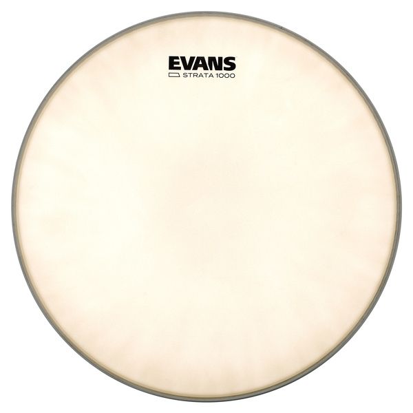 Evans 14" Strata 1000