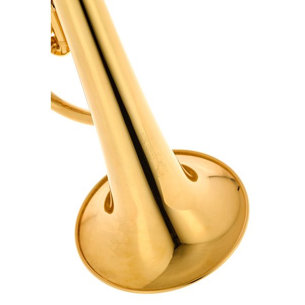 Gerd Dowids BZ-Series Bb-Flugelhorn GL91GP