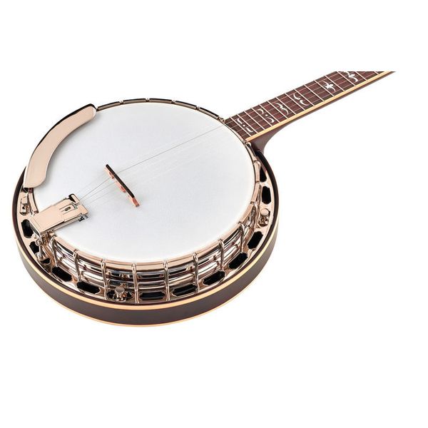 Banjo バンジョー Recording King RK R-80 Professional - 楽器