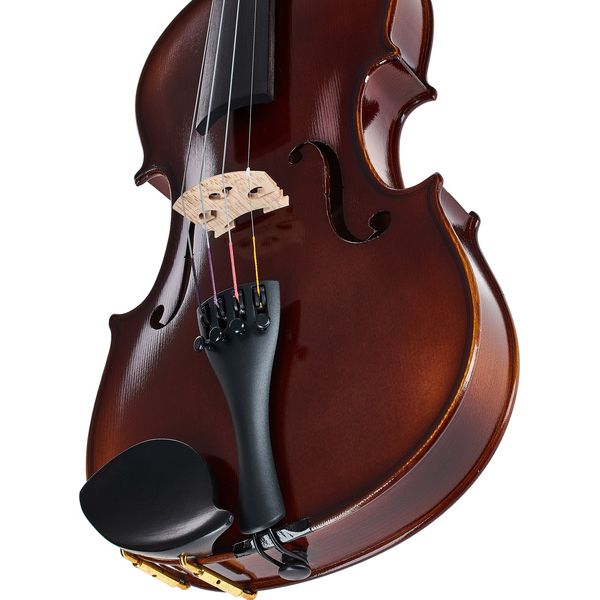 Roth & Junius RJV-S Student Violin Set 4/4