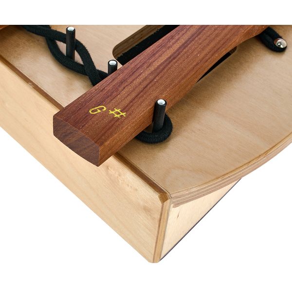 Studio 49 H-AX 1000 Chromatic Extension