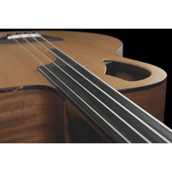 Furch Bc 61-CM 4 Fretless