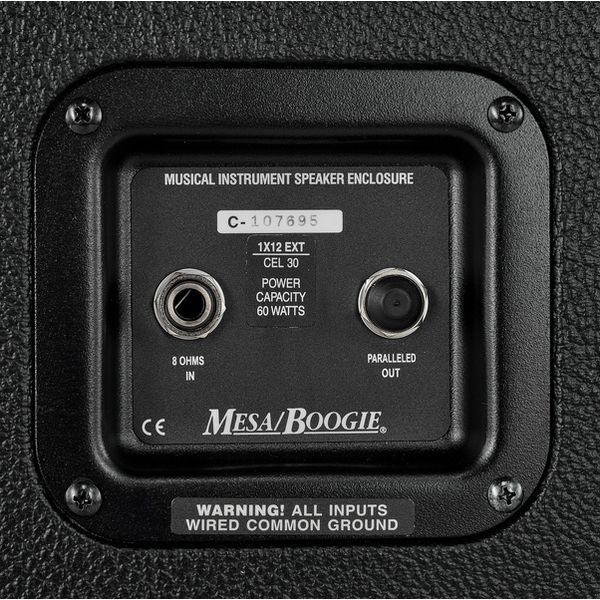 Mesa Boogie Mini Rectifier 19 ST