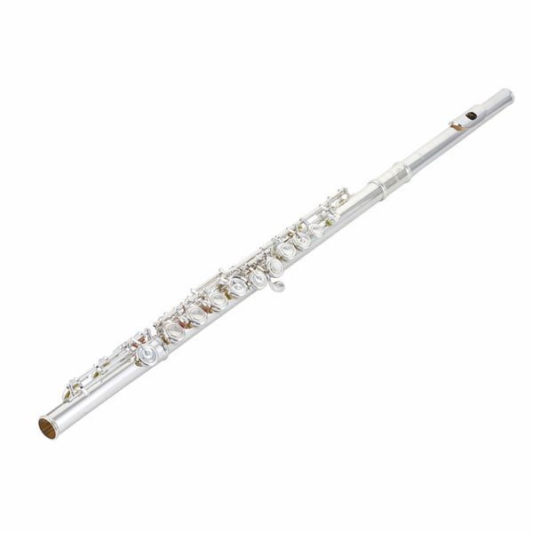 Azumi AZ-Z1 E Flute – Thomann United States