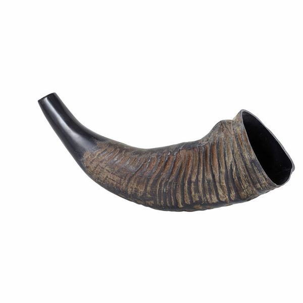 Thomann Water Buffalo Horn – Thomann United States