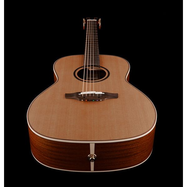 Takamine P3NY