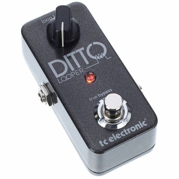 tc electronic Ditto Looper – Thomann United States