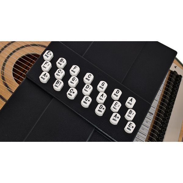 Oscar Schmidt OS120CNE Autoharp Adirondack
