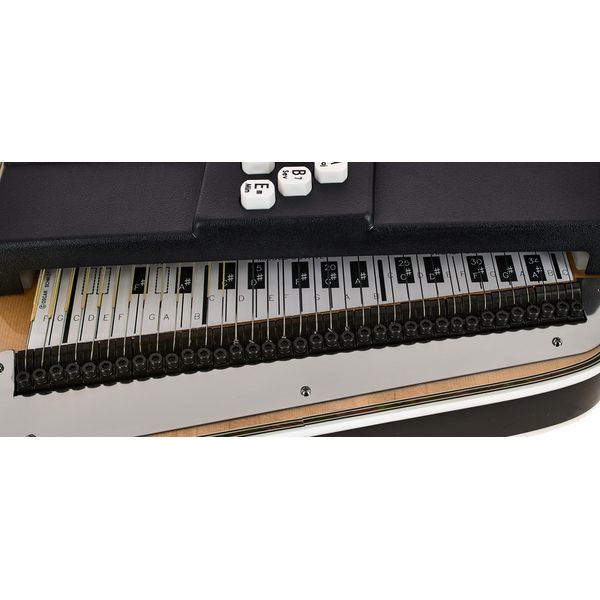 Oscar Schmidt OS120CNE Autoharp Adirondack