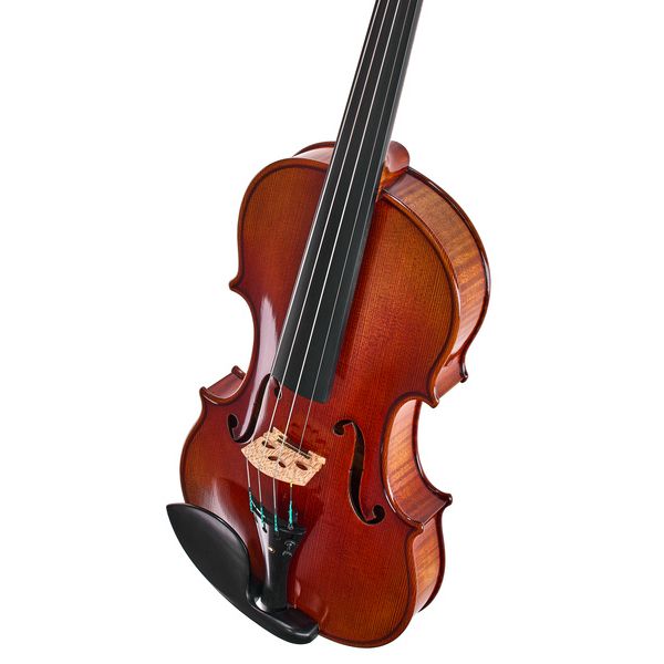 Ernst Heinrich Roth 64/IX-R Master Violin