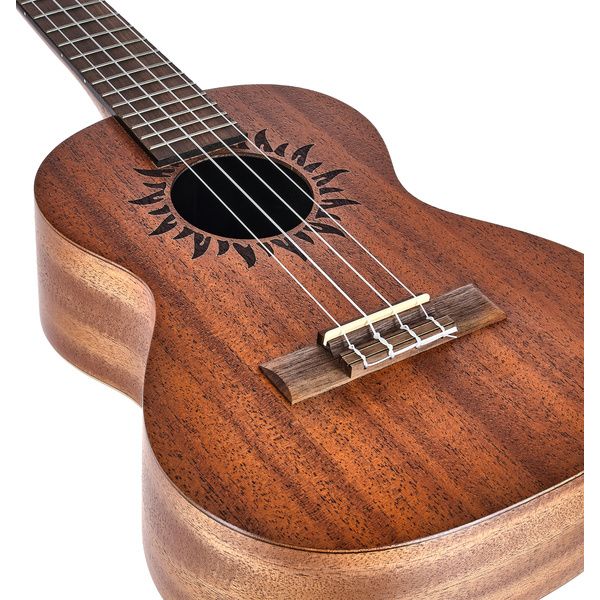 Baton Rouge V2-T sun