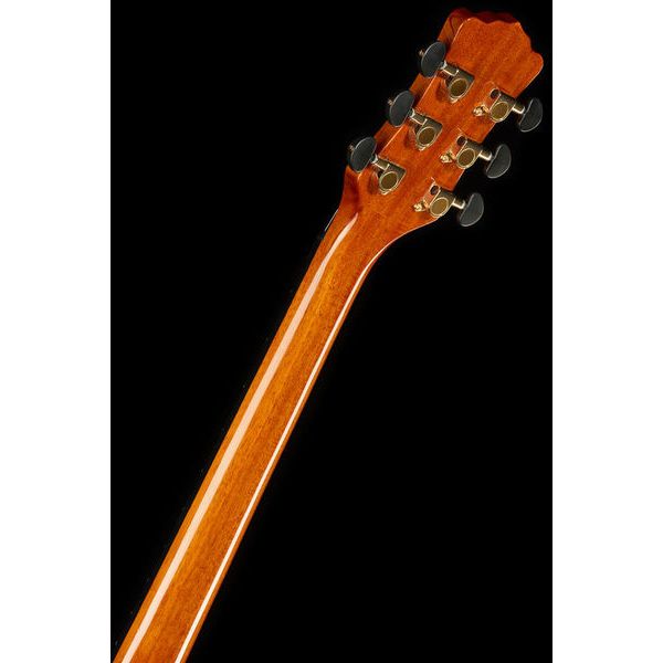 Luna Guitars Vista Wolf Cutaway A/E