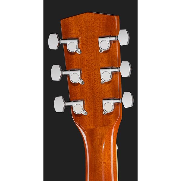 Harley Benton D-120VS