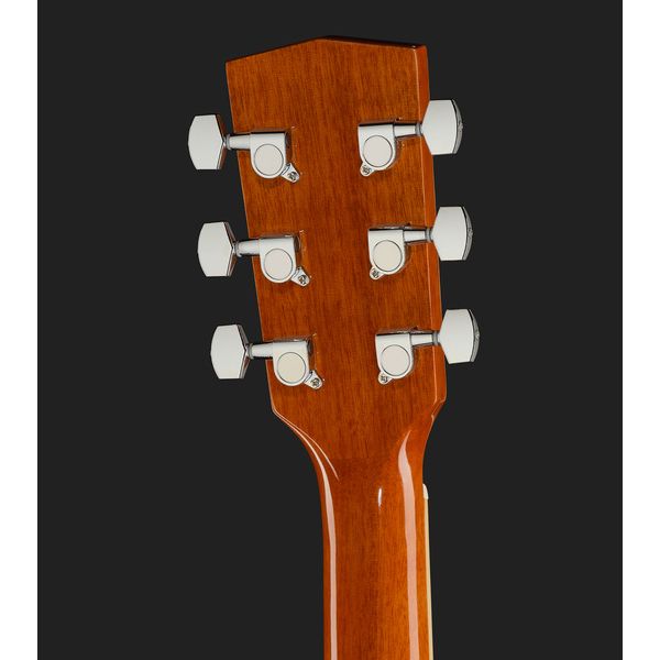 Harley Benton D-120VS