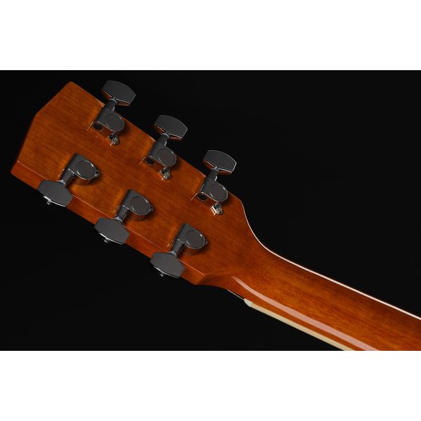 Harley Benton D-120VS