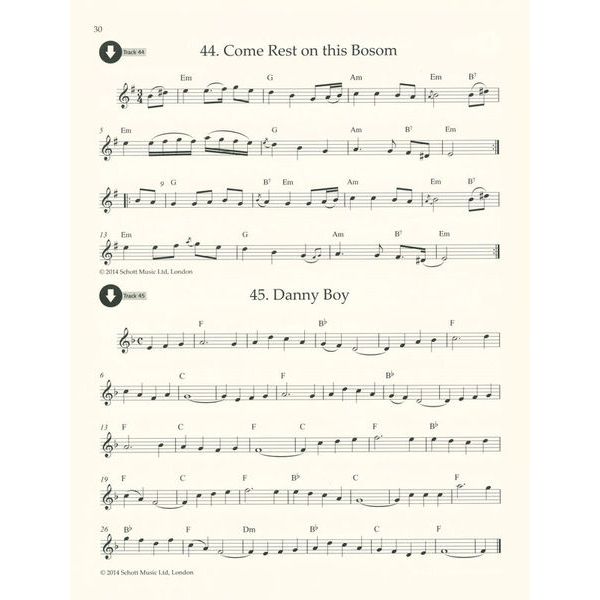 Schott Irish Folk Tunes Recorder