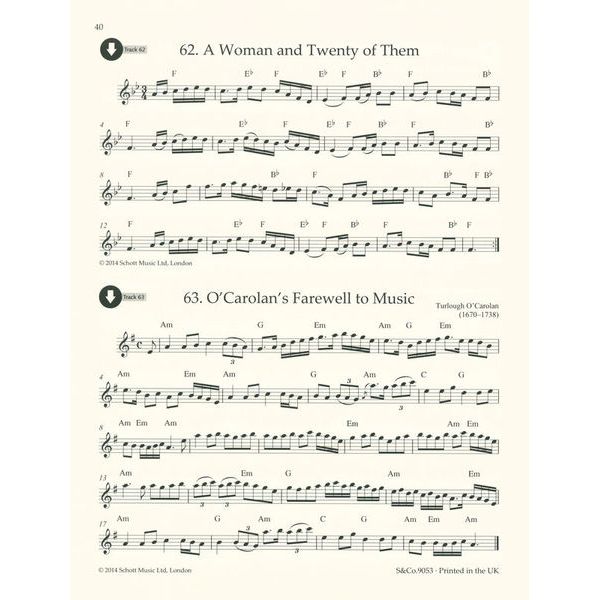 Schott Irish Folk Tunes Recorder